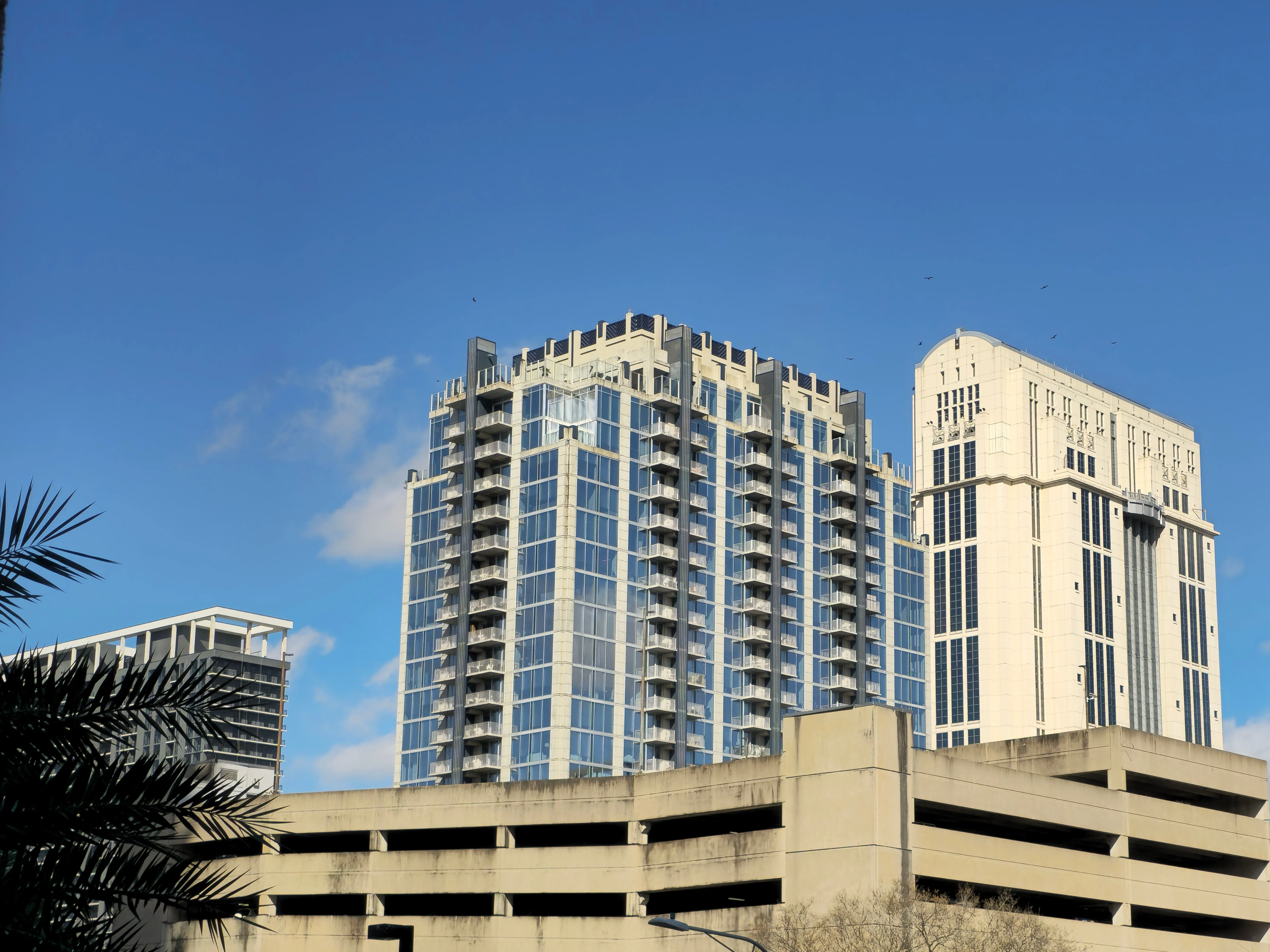 North Carolina city skyline